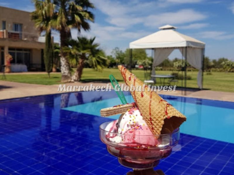 Villa de campagne 9 chambres avec piscine en location saisonnière – Route de Ouarzazate, Marrakech – photo 4