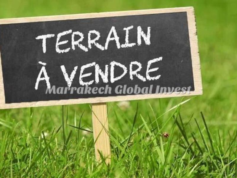 Terrain plat de 11 hectares à vendre – Route de Tahnaout, Marrakech – photo 2