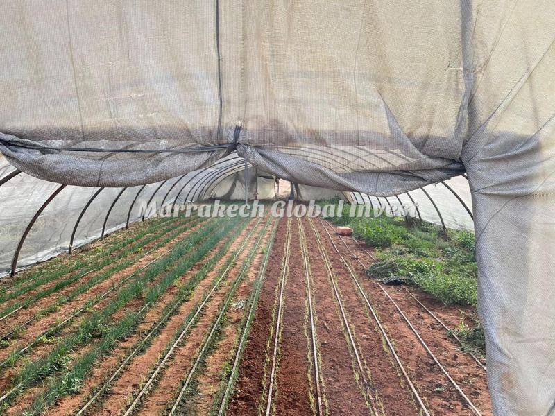Ferme de 4,8 hectares avec villa à vendre – Ben Yekhlaf, Mohammedia – photo 5